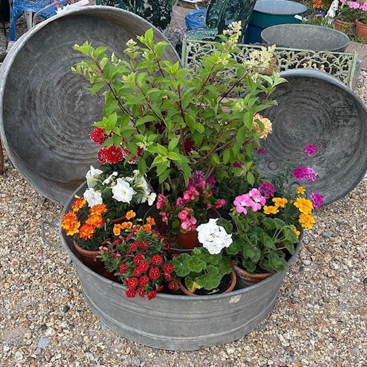 Spring Garden Preparation and Planting in Containers.