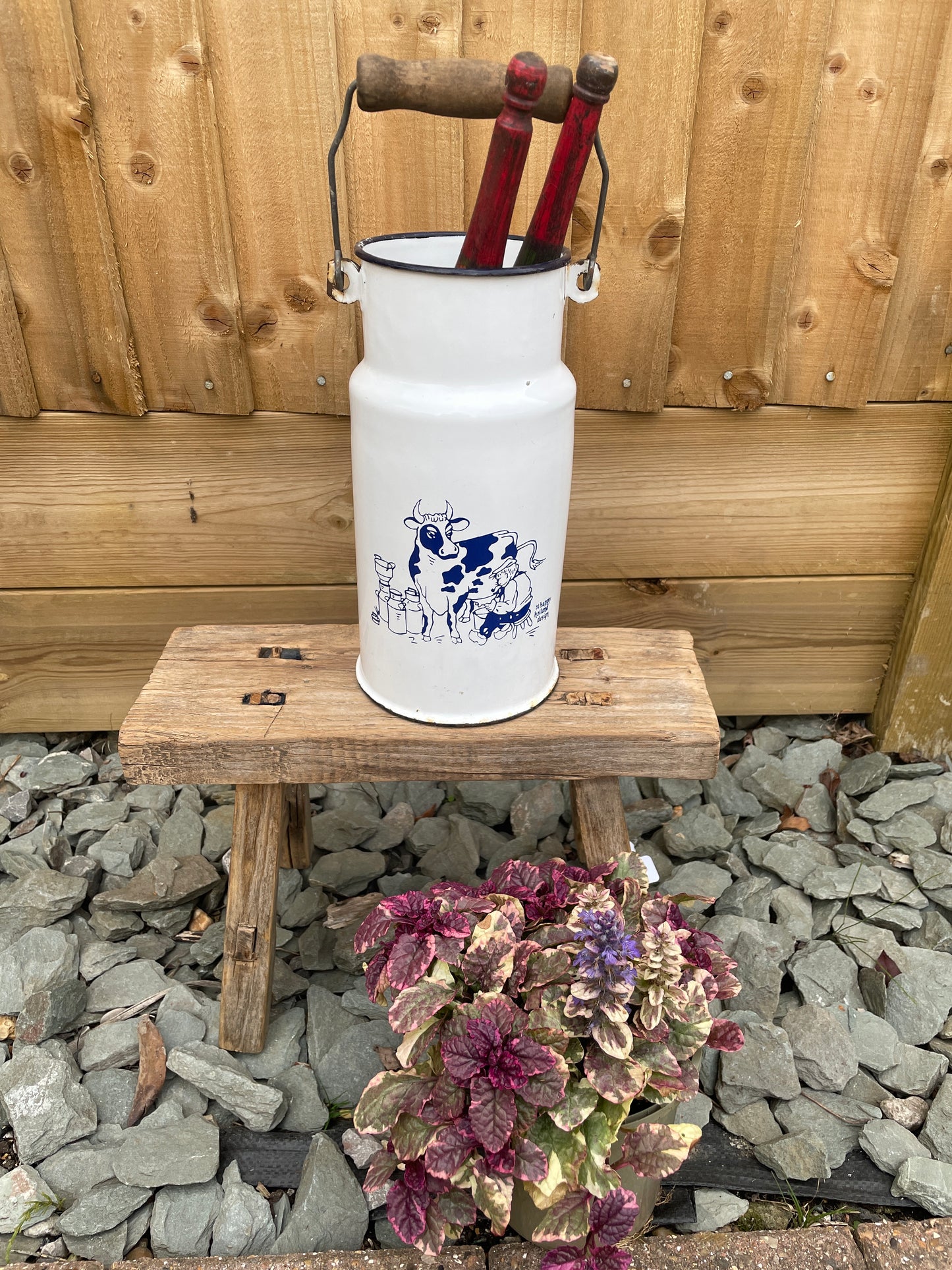 Enamel 2L Churn White with blue cow picture decoration.