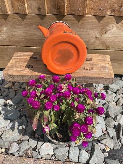 Enamel jug orange 1L.