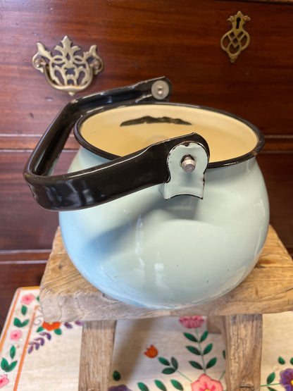 Pale blue enamel kettle with black handle and rim.