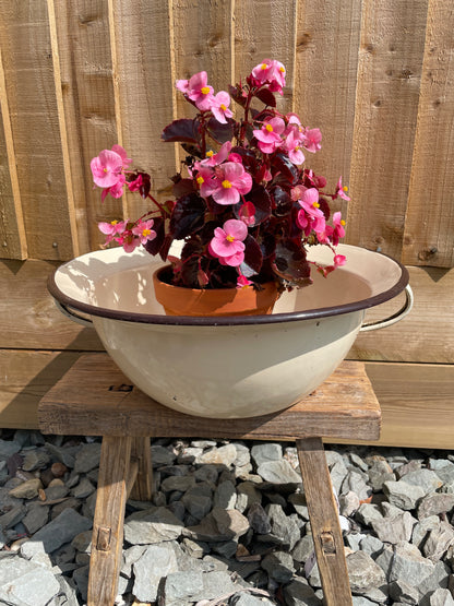 Round enamel bowl with 2 handles 34cm.