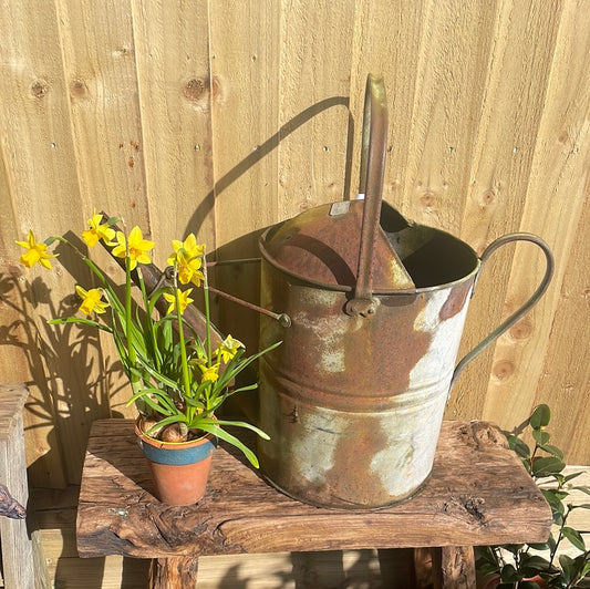 Vintage rustic 3 gallon watering can decorative garden decor.