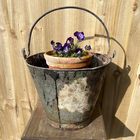 Rustic galvanised bucket planter with black paint splashes.