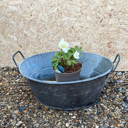 Oval two handled galvanised tub 50cm