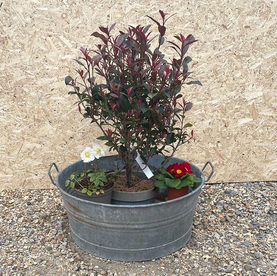 Round straight sided shallow galvanised tub planter with two handles.