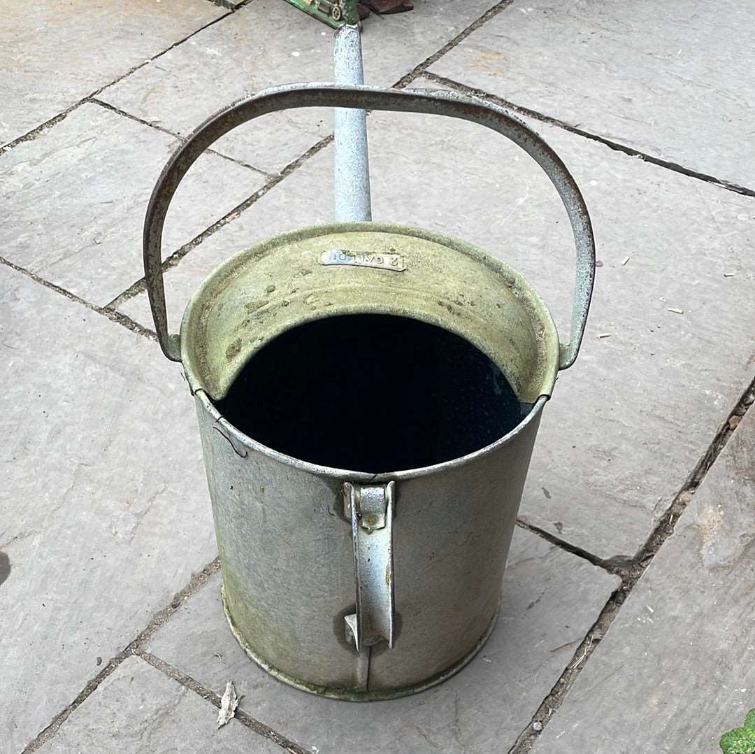 Galvanised watering can 2G decorative planter.
