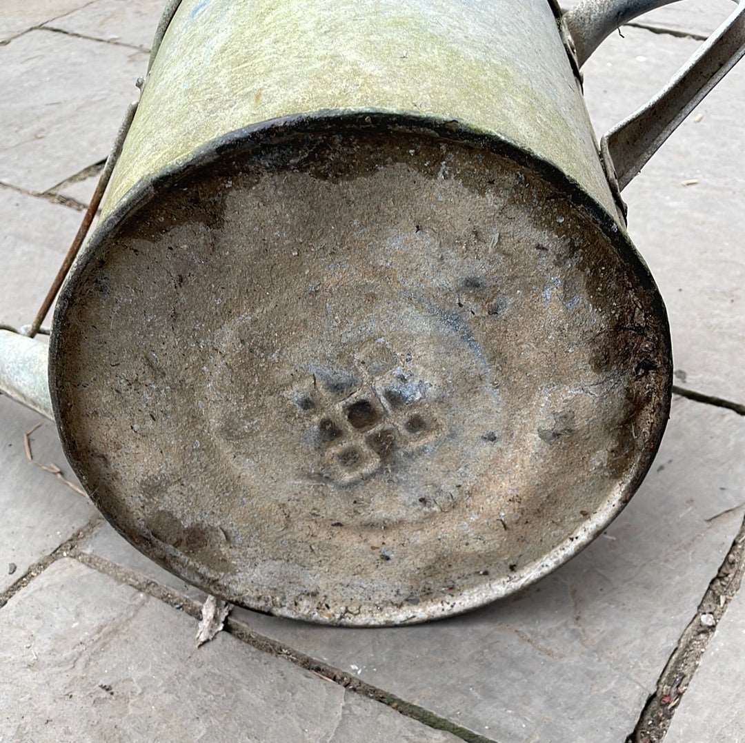 Galvanised watering can 2G decorative planter.