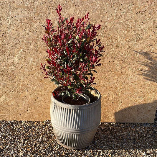 Vintage dolly tub planter ribbed with side handles.