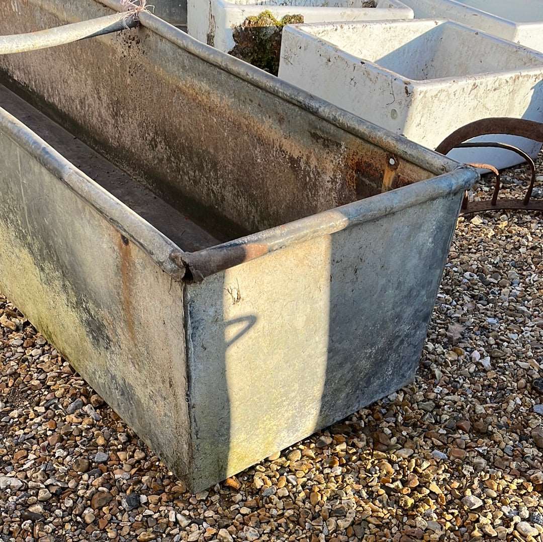 Vintage galvanised rustic water trough planter.
