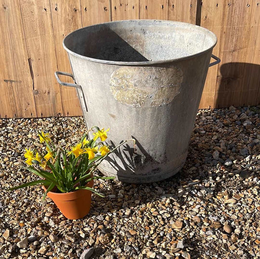 Taper sided two handled rustic galvanised bin planter.